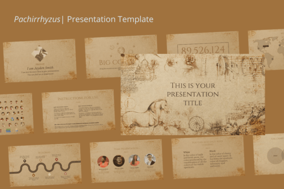 Introducing Pachirrhyzus: A Modern Design Asset