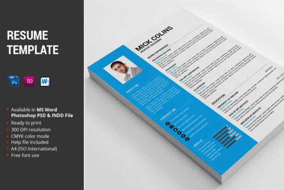Professional Resume Template: Your Complete Design Kit